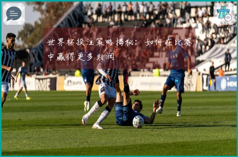 世界杯投注策略揭秘：如何在比赛中赢得更多利润