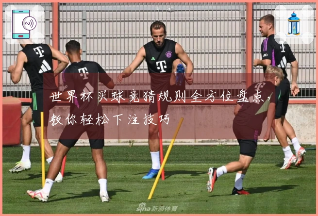 世界杯买球竞猜规则全方位盘点，教你轻松下注技巧