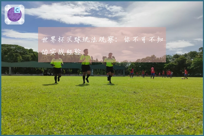 世界杯买球玩法观察：你不可不知的实战经验