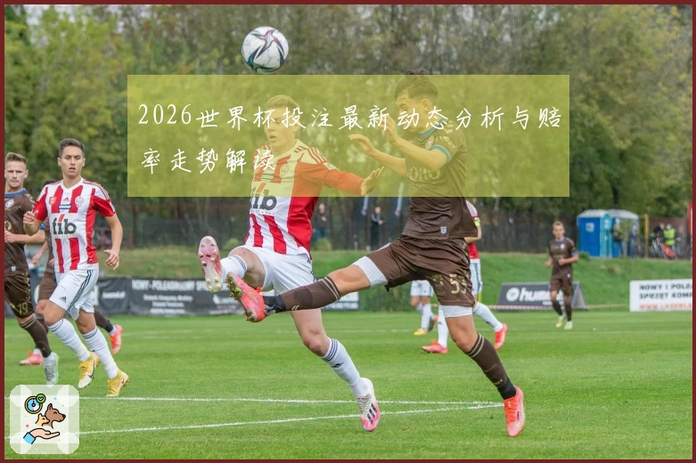 2026世界杯投注最新动态分析与赔率走势解读
