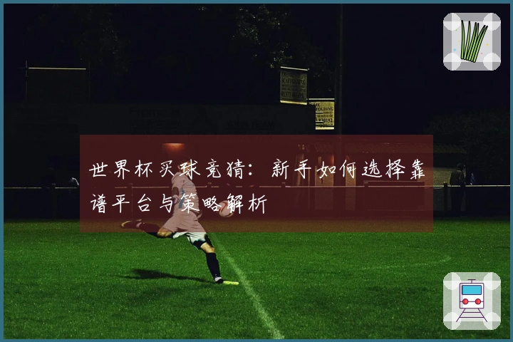 世界杯买球竞猜：新手如何选择靠谱平台与策略解析