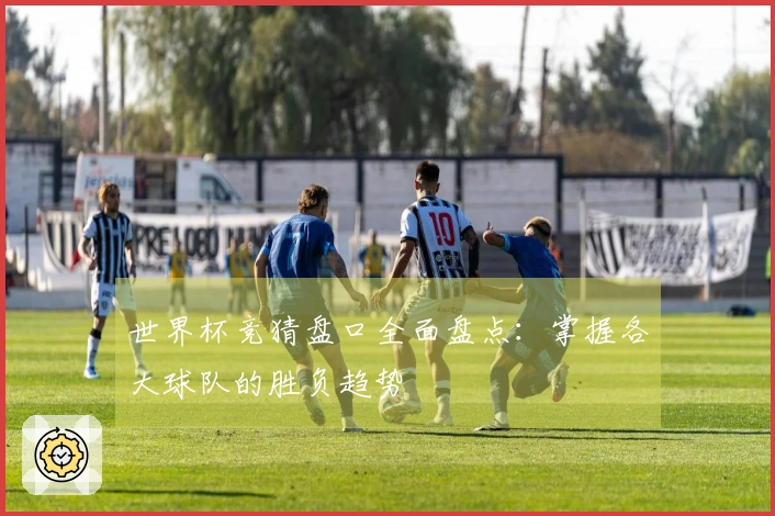 世界杯竞猜盘口全面盘点：掌握各大球队的胜负趋势