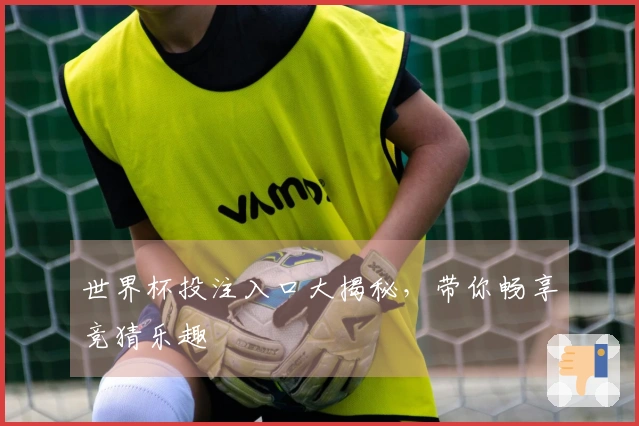 世界杯投注入口大揭秘，带你畅享竞猜乐趣