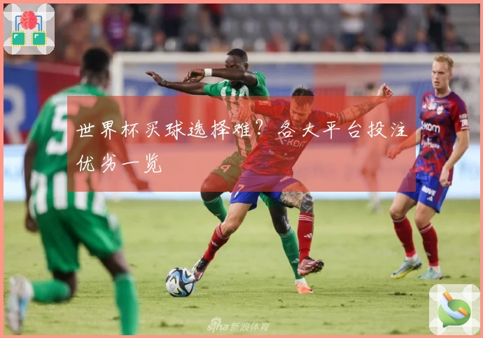 世界杯买球选择难？各大平台投注优劣一览