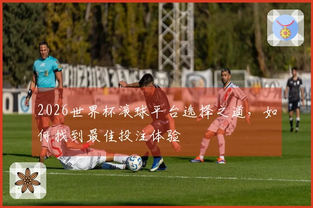 2026世界杯滚球平台选择之道，如何找到最佳投注体验