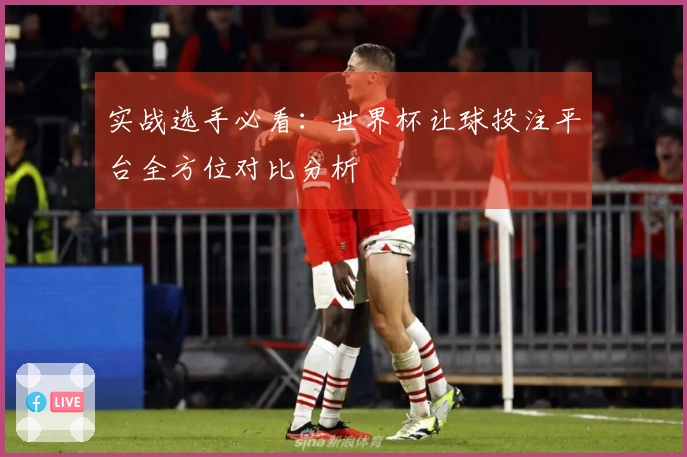 实战选手必看：世界杯让球投注平台全方位对比分析