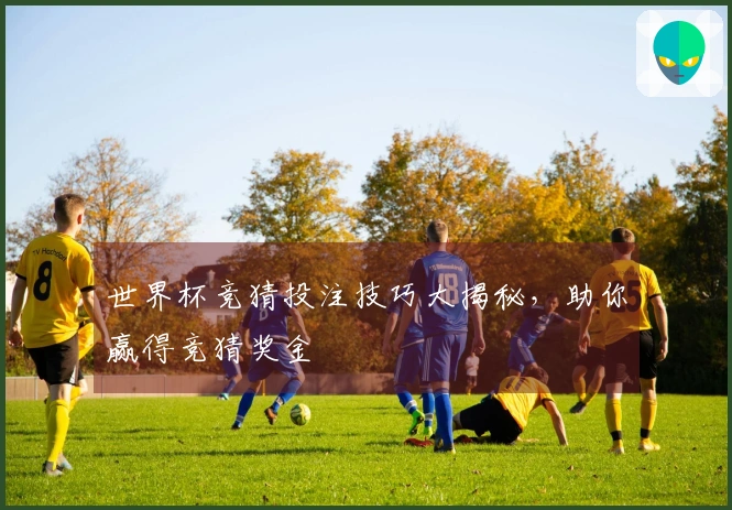 世界杯竞猜投注技巧大揭秘，助你赢得竞猜奖金