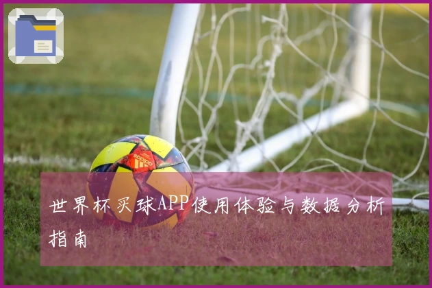 世界杯买球APP使用体验与数据分析指南