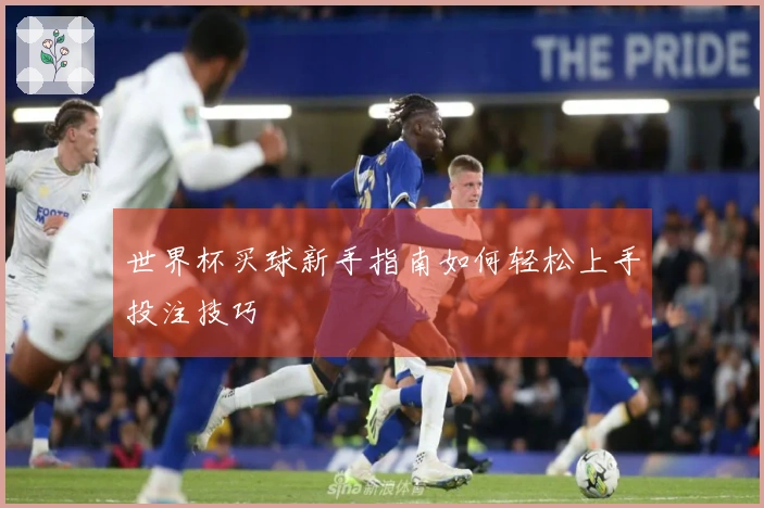 世界杯买球新手指南如何轻松上手投注技巧