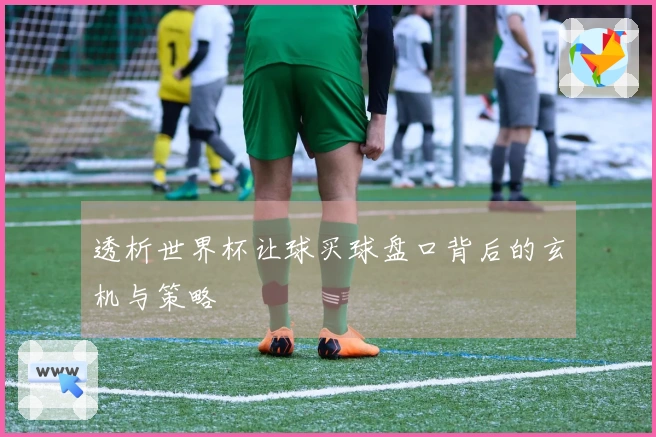 透析世界杯让球买球盘口背后的玄机与策略