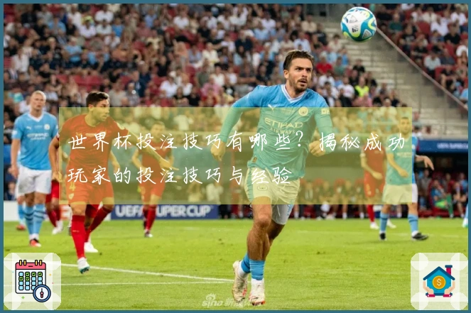 世界杯投注技巧有哪些?揭秘成功玩家的投注技巧与经验