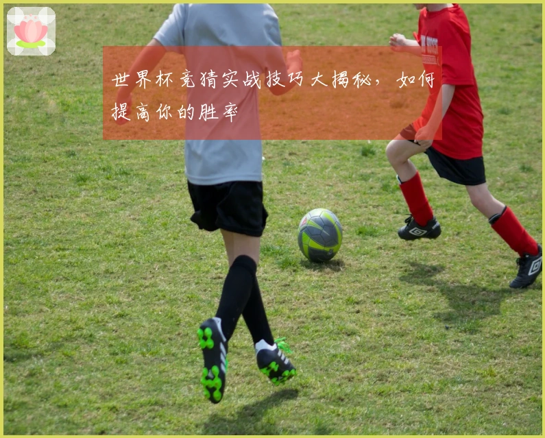 世界杯竞猜实战技巧大揭秘，如何提高你的胜率