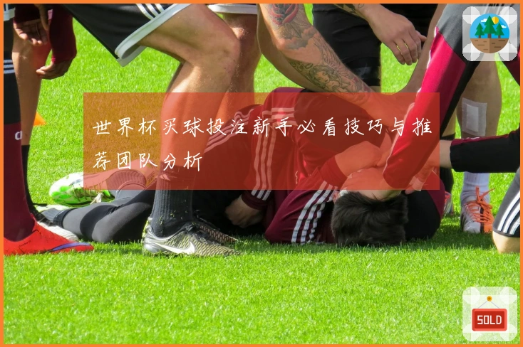 世界杯买球投注新手必看技巧与推荐团队分析