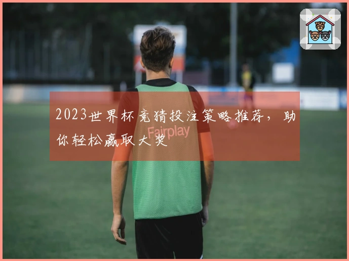 2023世界杯竞猜投注策略推荐，助你轻松赢取大奖